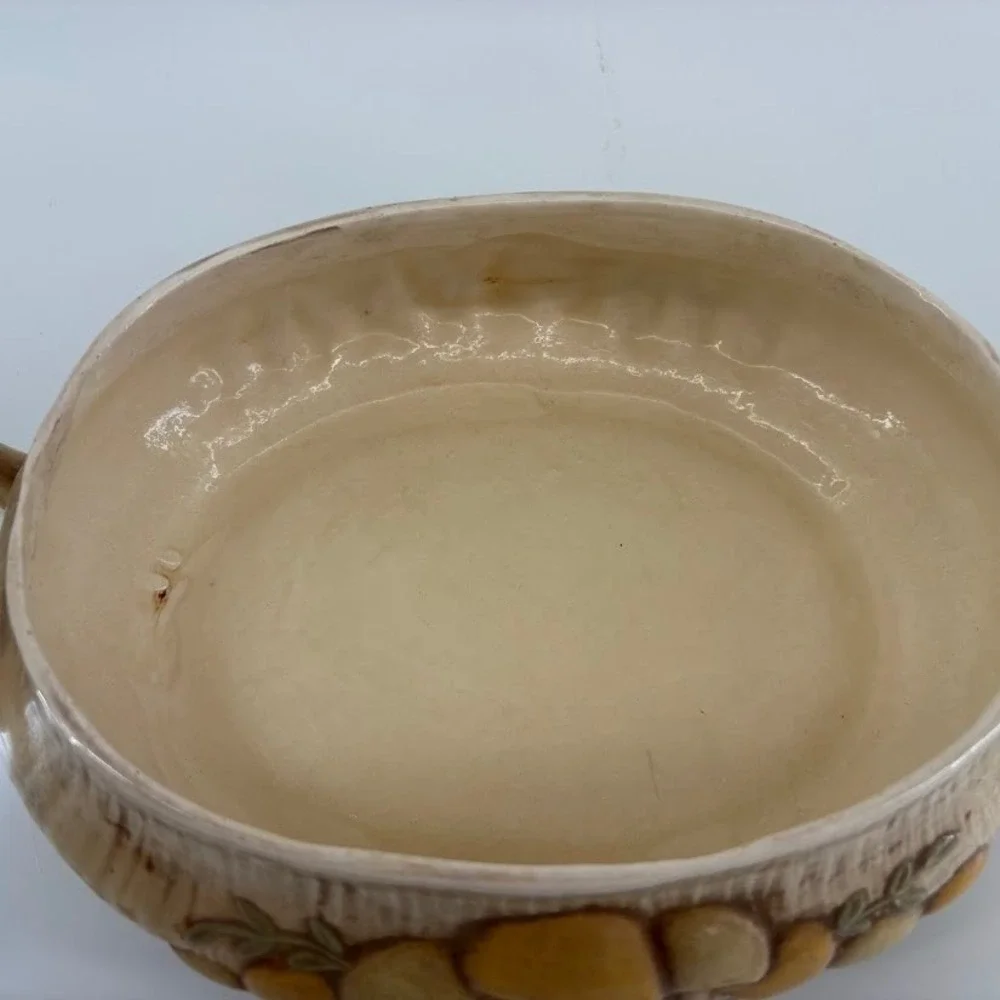 Vtg 1970s Arnel's Mushroom‎ Soup Tureen/ Dish Retro Cottagecore MCM Decor